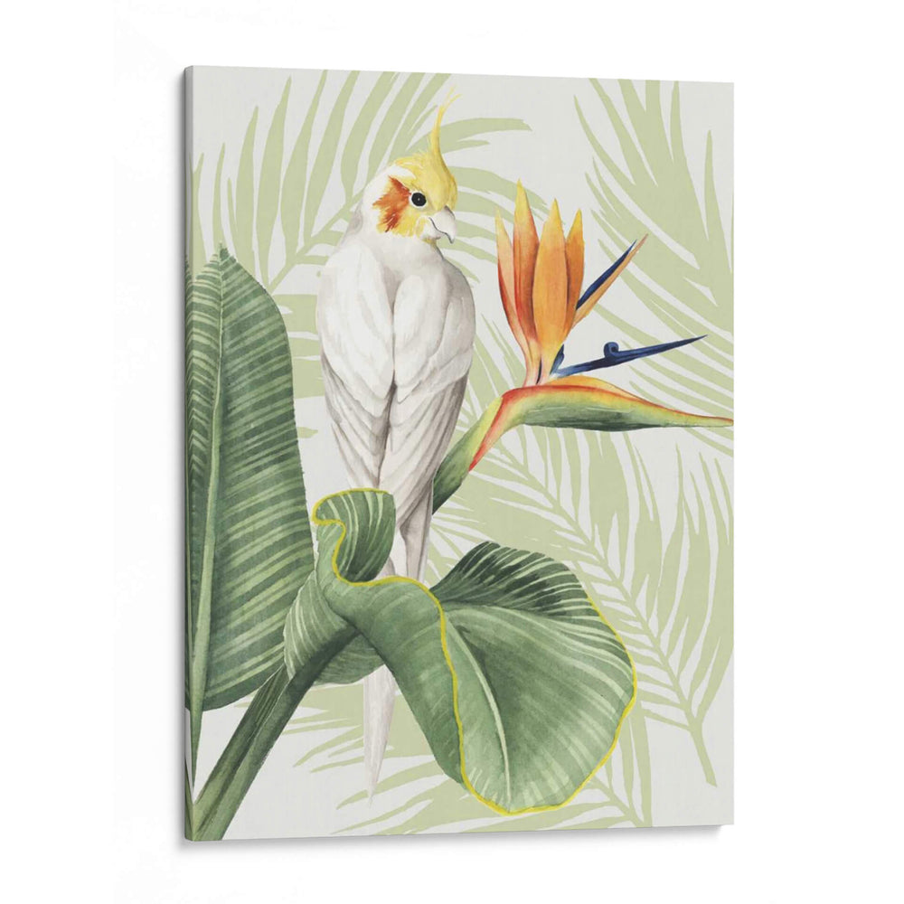 Avian Paradise Ii - Grace Popp | Cuadro decorativo de Canvas Lab