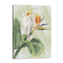 Avian Paradise Ii - Grace Popp | Cuadro decorativo de Canvas Lab
