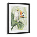 Avian Paradise Ii - Grace Popp | Cuadro decorativo de Canvas Lab