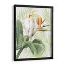 Avian Paradise Ii - Grace Popp | Cuadro decorativo de Canvas Lab
