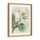 Avian Paradise Ii - Grace Popp | Cuadro decorativo de Canvas Lab