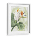 Avian Paradise Ii - Grace Popp | Cuadro decorativo de Canvas Lab