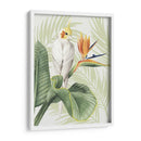 Avian Paradise Ii - Grace Popp | Cuadro decorativo de Canvas Lab
