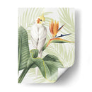 Avian Paradise Ii - Grace Popp | Cuadro decorativo de Canvas Lab