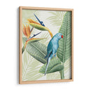 Avian Paradise Iii - Grace Popp | Cuadro decorativo de Canvas Lab