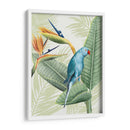 Avian Paradise Iii - Grace Popp | Cuadro decorativo de Canvas Lab
