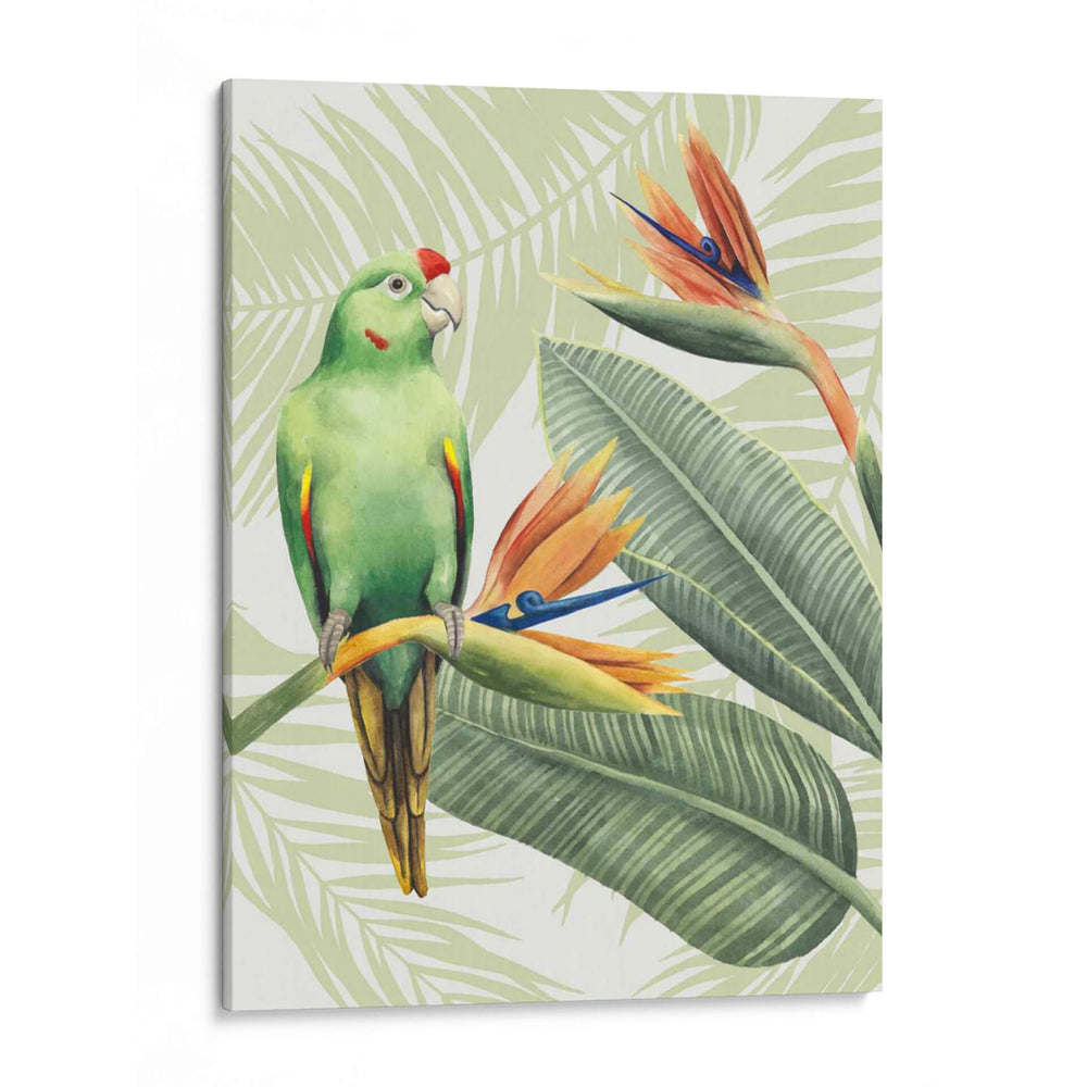 Avian Paradise Iv - Grace Popp | Cuadro decorativo de Canvas Lab