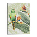 Avian Paradise Iv - Grace Popp | Cuadro decorativo de Canvas Lab