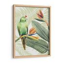 Avian Paradise Iv - Grace Popp | Cuadro decorativo de Canvas Lab