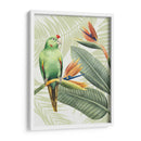 Avian Paradise Iv - Grace Popp | Cuadro decorativo de Canvas Lab