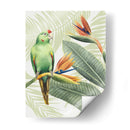 Avian Paradise Iv - Grace Popp | Cuadro decorativo de Canvas Lab