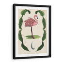 Menagerie Anticuario - Flamingo I - Naomi McCavitt | Cuadro decorativo de Canvas Lab