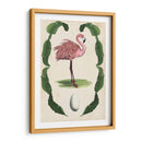 Menagerie Anticuario - Flamingo I - Naomi McCavitt | Cuadro decorativo de Canvas Lab