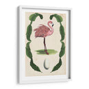 Menagerie Anticuario - Flamingo I - Naomi McCavitt | Cuadro decorativo de Canvas Lab