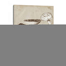 Les Champiñones I - Naomi McCavitt | Cuadro decorativo de Canvas Lab