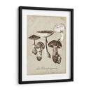 Les Champiñones I - Naomi McCavitt | Cuadro decorativo de Canvas Lab