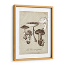 Les Champiñones I - Naomi McCavitt | Cuadro decorativo de Canvas Lab