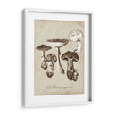 Les Champiñones I - Naomi McCavitt | Cuadro decorativo de Canvas Lab