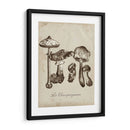 Les Champiñones Ii - Naomi McCavitt | Cuadro decorativo de Canvas Lab