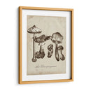 Les Champiñones Ii - Naomi McCavitt | Cuadro decorativo de Canvas Lab