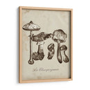 Les Champiñones Ii - Naomi McCavitt | Cuadro decorativo de Canvas Lab
