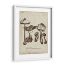 Les Champiñones Ii - Naomi McCavitt | Cuadro decorativo de Canvas Lab