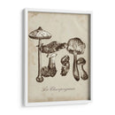 Les Champiñones Ii - Naomi McCavitt | Cuadro decorativo de Canvas Lab
