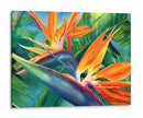 Aves del paraíso en acuarela | Cuadro decorativo de Canvas Lab