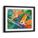 Aves del paraíso en acuarela | Cuadro decorativo de Canvas Lab