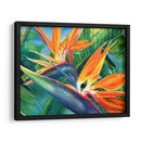 Aves del paraíso en acuarela | Cuadro decorativo de Canvas Lab