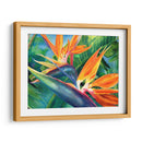 Aves del paraíso en acuarela | Cuadro decorativo de Canvas Lab