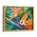 Aves del paraíso en acuarela | Cuadro decorativo de Canvas Lab