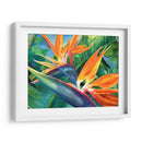 Aves del paraíso en acuarela | Cuadro decorativo de Canvas Lab