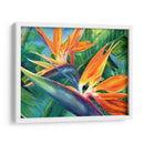 Aves del paraíso en acuarela | Cuadro decorativo de Canvas Lab