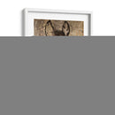 Champagne Horse Ii - Irena Orlov | Cuadro decorativo de Canvas Lab