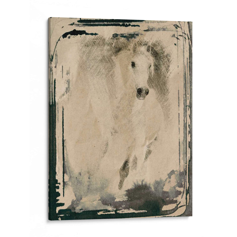Caballo Corriendo V - Irena Orlov | Cuadro decorativo de Canvas Lab