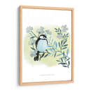 Amigos Con Plumas Iii - Grace Popp | Cuadro decorativo de Canvas Lab