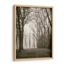 Árboles En Niebla I - Jody Stuart | Cuadro decorativo de Canvas Lab