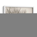 Árboles En Niebla Viii - Jody Stuart | Cuadro decorativo de Canvas Lab