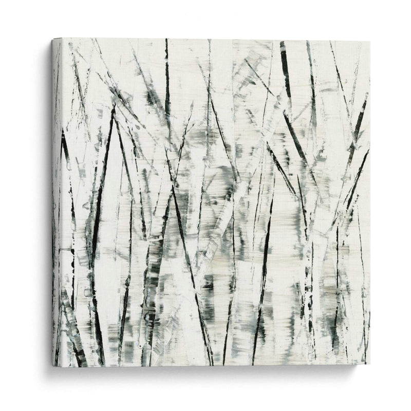 Birches Ii - Sharon Gordon | Cuadro decorativo de Canvas Lab