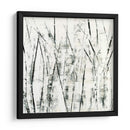 Birches Ii - Sharon Gordon | Cuadro decorativo de Canvas Lab