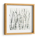 Birches Ii - Sharon Gordon | Cuadro decorativo de Canvas Lab