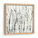 Birches Ii - Sharon Gordon | Cuadro decorativo de Canvas Lab