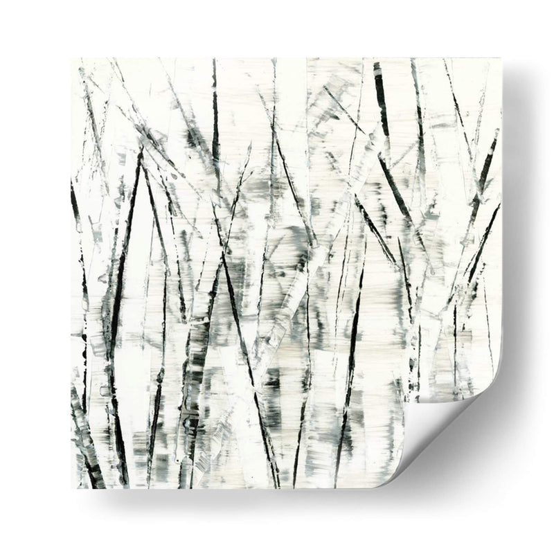 Birches Ii - Sharon Gordon | Cuadro decorativo de Canvas Lab