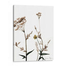Watermark Wildflowers I - Jennifer Goldberger | Cuadro decorativo de Canvas Lab