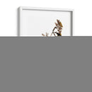 Watermark Wildflowers Ii - Jennifer Goldberger | Cuadro decorativo de Canvas Lab