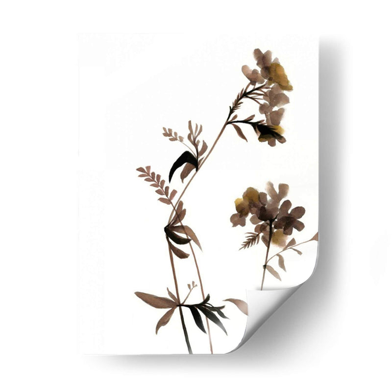 Watermark Wildflowers Ii - Jennifer Goldberger | Cuadro decorativo de Canvas Lab