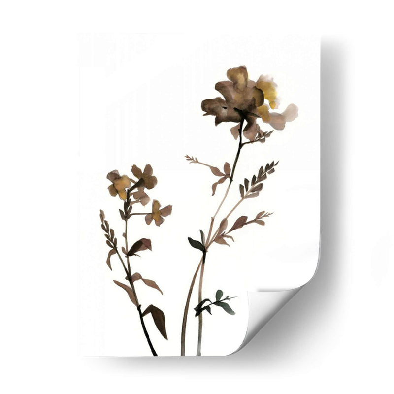 Watermark Wildflowers Vi - Jennifer Goldberger | Cuadro decorativo de Canvas Lab