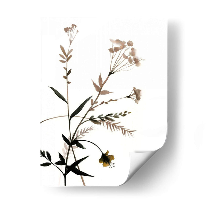 Watermark Wildflowers Viii - Jennifer Goldberger | Cuadro decorativo de Canvas Lab