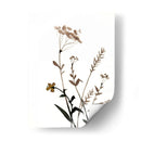 Watermark Wildflowers X - Jennifer Goldberger | Cuadro decorativo de Canvas Lab